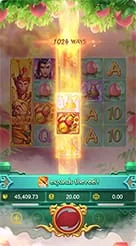 777wz · Lgd Monkey Kg