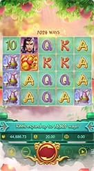 777wz · Lgd Monkey Kg